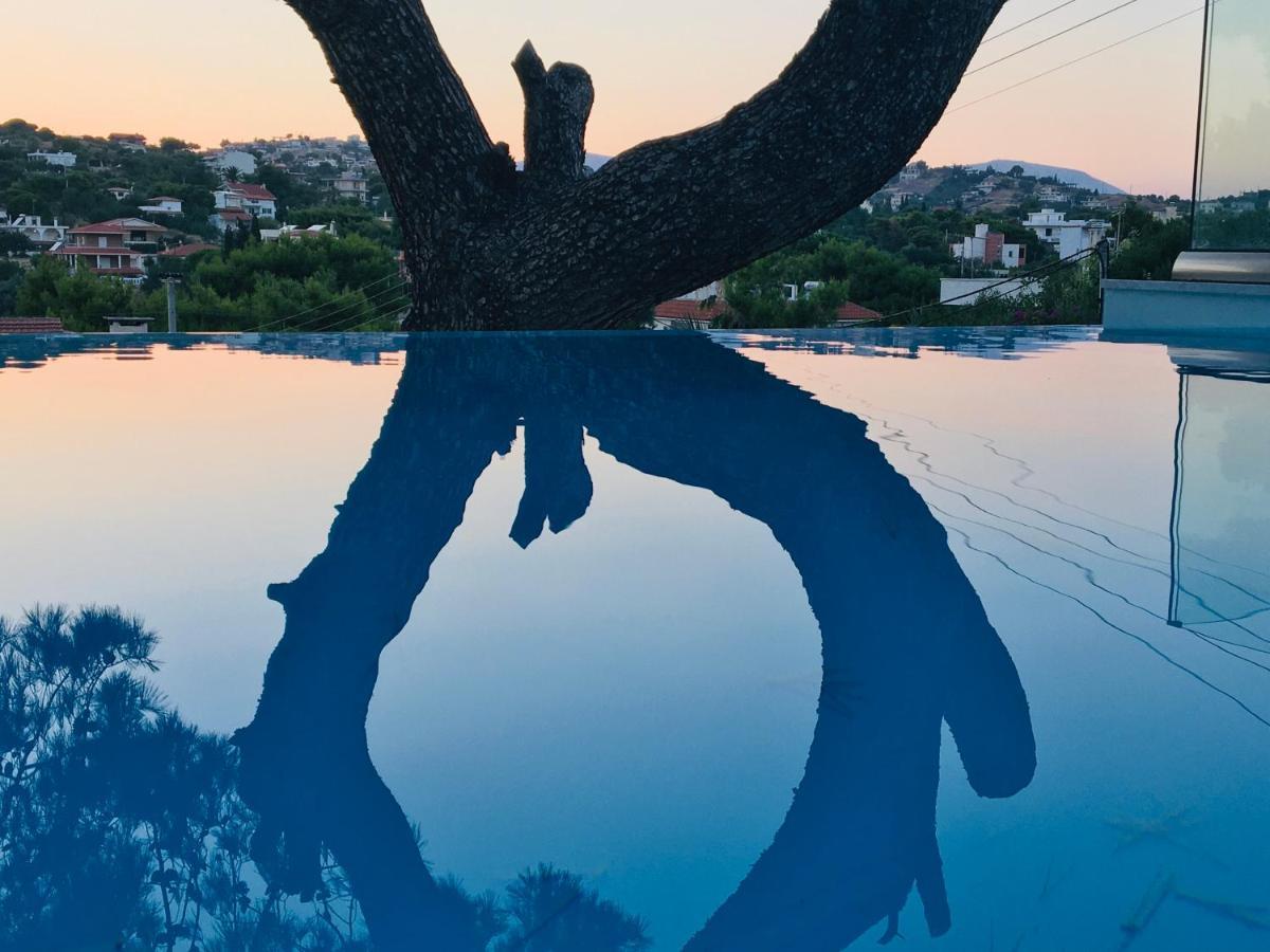 Villa Tranquility Лагонисси Экстерьер фото
